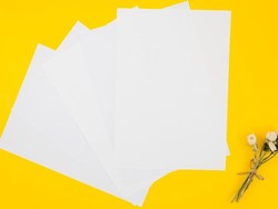 Harga Kertas HVS Fluktuatif, Ini Cara Antisipasi dari Kacamata Bisnis