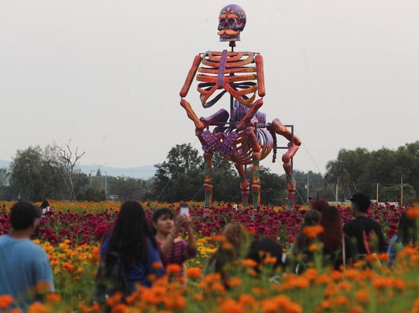 Instalasi Tengkorak Raksasa Semarakan Peringatan Hari Kematian di Meksiko