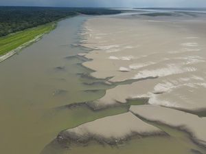 Sungai Amazon Kolombia Dilanda Kekeringan Parah Sungai Amazon Kolombia Dilanda Kekeringan Parah