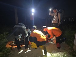 Tim SAR Evakuasi Wisatawan Kelelahan Hiking di Kaki Gunung Pangrango Bogor