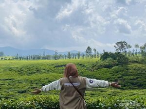 Kabur Sejenak Menyusuri Keindahan Alam Ciwidey yang Hijau Kabur Sejenak Menyusuri Keindahan Alam Ciwidey yang Hijau