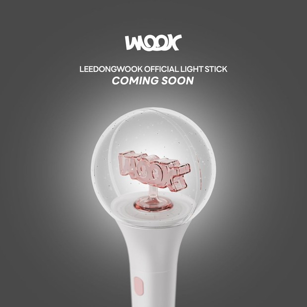 Desain lightstick Lee Dong Wook/ Foto: instagram.com/leedongwook_official