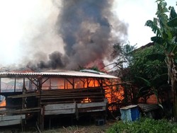Kandang di Cilincing Kebakaran, 14 Ekor Kambing Mati Terpanggang