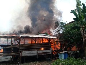 Kandang di Cilincing Kebakaran, 14 Ekor Kambing Mati Terpanggang Kandang di Cilincing Kebakaran, 14 Ekor Kambing Mati Terpanggang