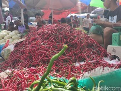 Pedagang di Palembang Keluhkan Harga Cabai Murah