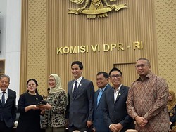 Andre Rosiade Jadi Wakil Ketua Komisi VI DPR 2024-2029