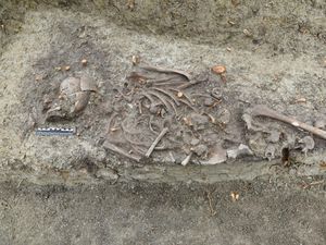 Kisah Kuburan Antivampir, Makam Anak dari Abad ke-13 Kisah Kuburan Antivampir, Makam Anak dari Abad ke-13