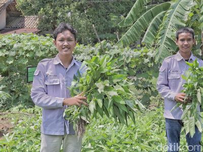 Petani Milenial di Tepian Ibu Kota