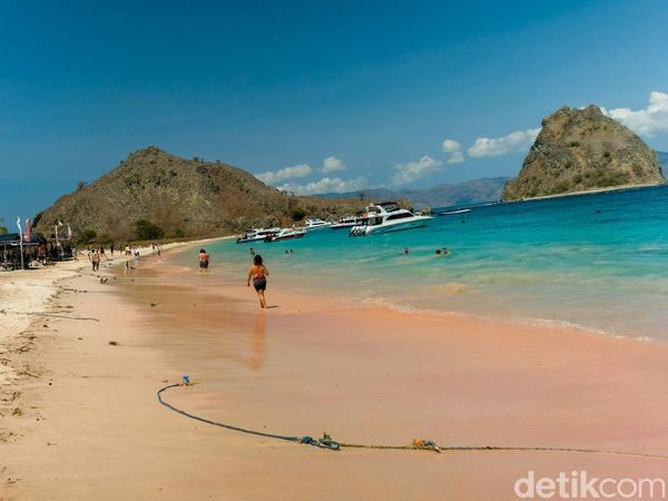 Pink Beach Komodo Cantik Sih, tapi Nggak Ada Toilet