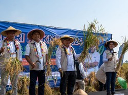 Pupuk Indonesia Turun Tangan Genjot Produksi Padi, Begini Caranya