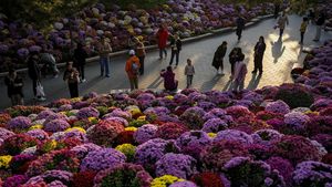 Terpesona Indahnya Bunga Warna-warni di Taman Beijing