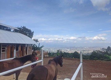 Rasakan Sensasi Berkuda Sambil Menikmati Keindahan Kota Bandung!