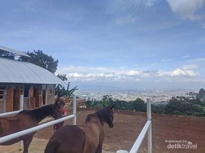 Tempat Berkuda dengan Pemandangan Kota Bandung