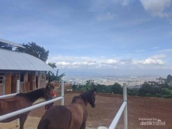 Tempat Berkuda dengan Pemandangan Kota Bandung