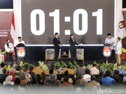 Ipong-Luhur Soal Monumen Reog, Bagus Hanya Saja Perlu Dikaji Ulang