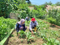 Sulap Galian C Jadi Sumber Pangan di Desa Sugihwaras