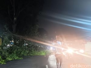 Pohon Tumbang Halangi Jalan di Kelapa Dua Depok, Lalin Macet
