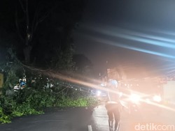 Pohon Tumbang Halangi Jalan di Kelapa Dua Depok, Lalin Macet