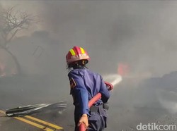 Cerita Srikandi Damkar Dilempar Batu Saat Padamkan Kebakaran di Tajur Bogor