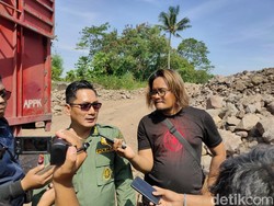 Petugas BKSDA Meninggal Usai Evakuasi 64 Buaya di Cianjur, Diduga Kelelahan