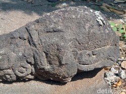 Batu Diduga Kepala Arca Dicor Semen Ditemukan di Pekarangan Warga Klaten