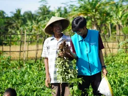 Perjalanan Dika, Alumni LPDP di Hong Kong yang Pulkam Demi Bangun Desa Kelahiran