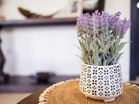 Ilustrasi tumbuhan lavender untuk menghalau nyamuk