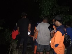 Pria di Mateng Hilang Diduga Diterkam Buaya Saat Buka Pintu Empang