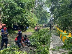 Diterjang Puting Beliung, Puluhan Rumah di Muara Enim Sumsel Rusak