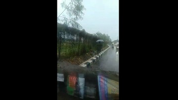 Pohon Raksasa Runtuh di Pondok Cabe, Pemotor Apes Tertimpa