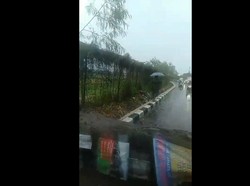 Video: Pohon Tumbang di Pondok Cabe, 1 Pemotor Tertimpa