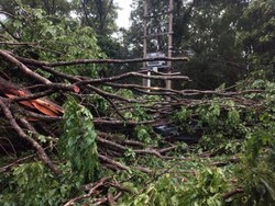 Puting Beliung Terjang Muara Enim, Pohon Tumbang hingga Akses Jalan Tertutup