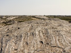 Al Jassasiya, Situs Bebatuan Tebesar dengan Ukiran Unik yang Ada di Qatar