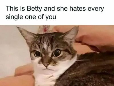 Potret 10 Kelakuan Kucing yang Gemas, Ngeselin Tapi Lucu