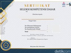 Link Pengumuman Hasil SKD CPNS 2024, Cek di Sini!