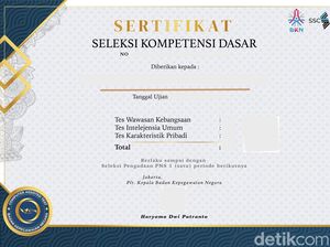 Cara Download Sertifikat SKD CPNS 2024, Bisa Dipakai untuk CPNS 2025 Cara Download Sertifikat SKD CPNS 2024, Bisa Dipakai untuk CPNS 2025