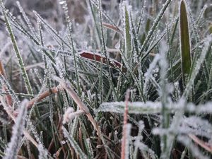 Suhu Capai 1,7 Celcius, Embun Es Kembali Muncul di Dieng Suhu Capai 1,7 Celcius, Embun Es Kembali Muncul di Dieng