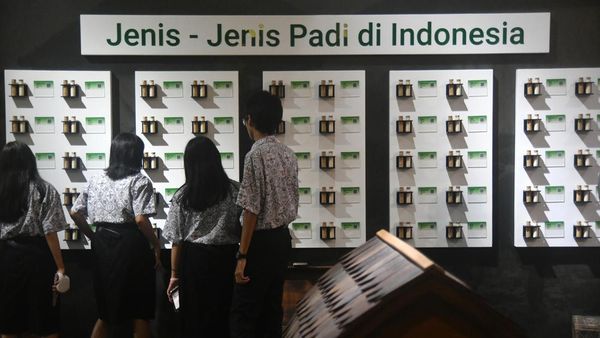 Intip Peringatan Hari Museum Indonesia di Bogor