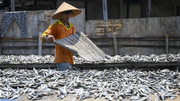 Kurang Pasokan, Produksi Ikan Asin Turun di Muara Angke