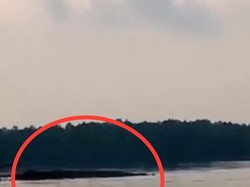 Viral Buaya Disebut Berukuran Raksasa Muncul di Perairan Bulang Batam