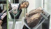Penampakan Fosil Dinosaurus Pertama yang Ditemukan di Hong Kong