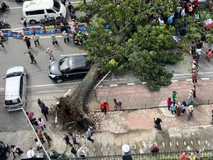 Pohon Tumbang di Medan Timpa Mobil-Becak, Ada Korban Luka
