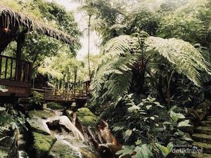 Kampung Daun, Oase nan Hijau di Bandung Kampung Daun, Oase nan Hijau di Bandung