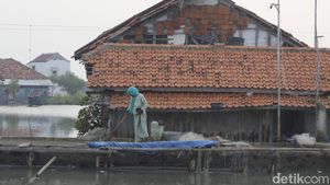 Aktivitas Warga di Desa Mayangan yang Ditelan Laut Jawa