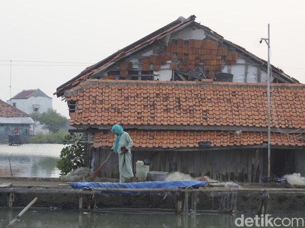 Aktivitas Warga di Desa Mayangan yang Ditelan Laut Jawa