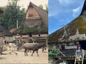 Desa Budaya Dokan: Destinasi Wisata Unik di Tanah Karo