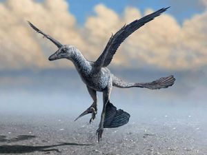Terungkap Dinosaurus Ini Pakai Sayap untuk Berlari Cepat