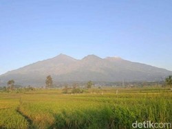 Pendakian Gunung Arjuno-Welirang Belum Dibuka