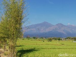Pendakian Gunung Arjuno-Welirang Ditutup Mulai 1 November, Ini Penyebabnya Pendakian Gunung Arjuno-Welirang Ditutup Mulai 1 November, Ini Penyebabnya