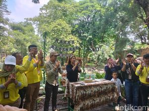 Antusiasme Pengunjung Saat KBS Launching Anara, Harimau Benggala Putih Antusiasme Pengunjung Saat KBS Launching Anara, Harimau Benggala Putih